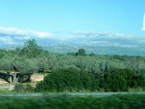 s-20121211 valencia (04).jpg